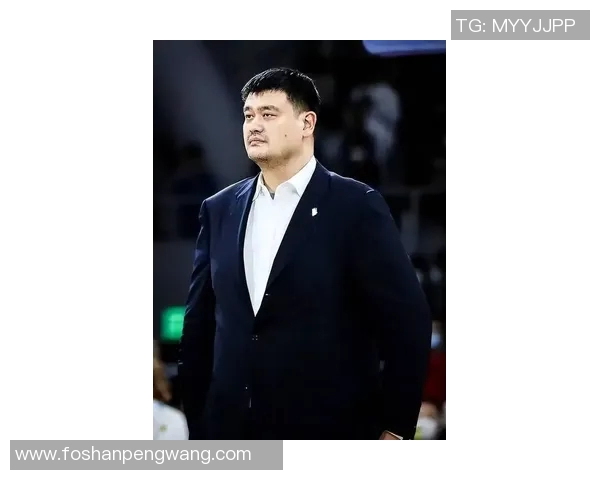 姚明在季后赛中的精彩表现与影响力分析