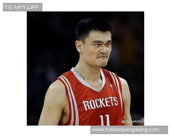 姚明的皮囊背后隐藏的奋斗与坚持的故事 姚明的皮囊背后隐藏的奋斗与坚持的故事